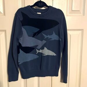 Gap Boys Sweater
Size M